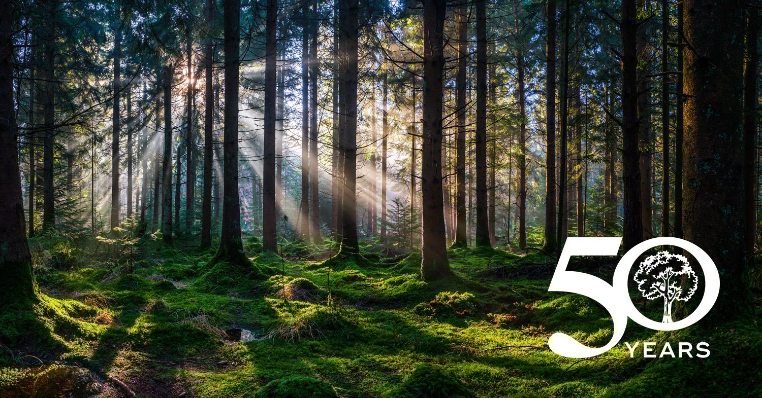 Blog-News-Release-Template-(Power-of-Trees)