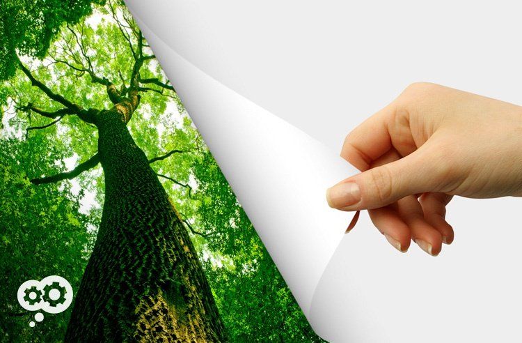 blog_image_going_green.jpg